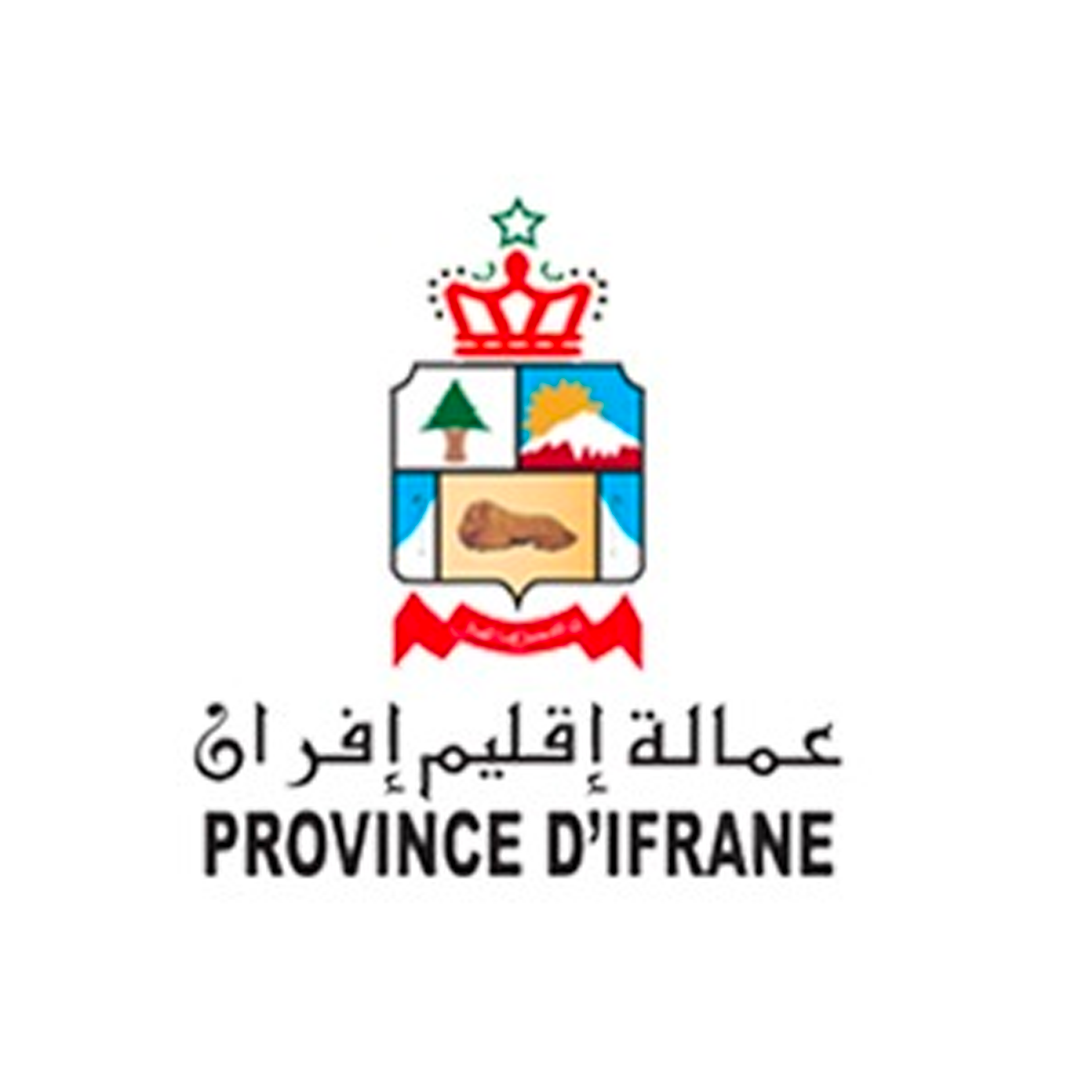 Partenaire 9 d’Irada Venture